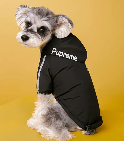 Premium Winter Dog Jacket with Velvet Lining | Warm Weather-Resistant Pet Coat for Small & Large Dogs