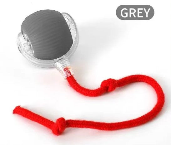 Speedy Tail Interactive Pet Toy Ball | Durable Rubber Chase Toy for Cats & Dogs