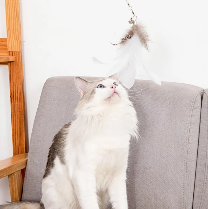 Feline FlexiStick | Hands-Free Suction Cup Cat Wand Toy with Flexible Spring Rod