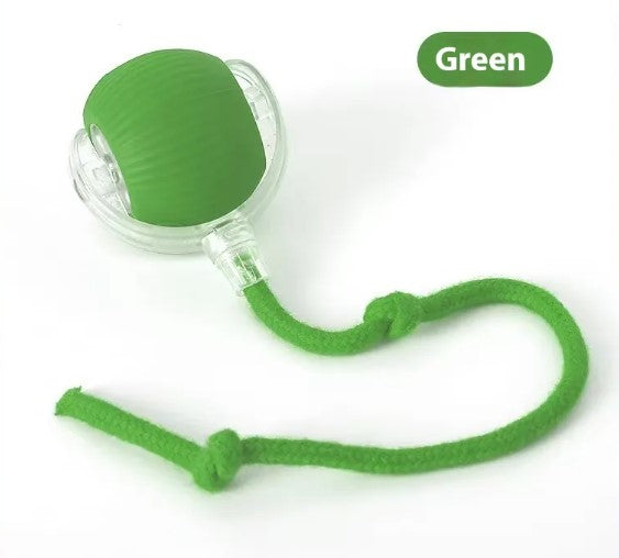 Speedy Tail Interactive Pet Toy Ball | Durable Rubber Chase Toy for Cats & Dogs