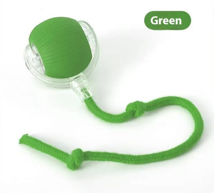 Speedy Tail Interactive Pet Toy Ball | Durable Rubber Chase Toy for Cats & Dogs
