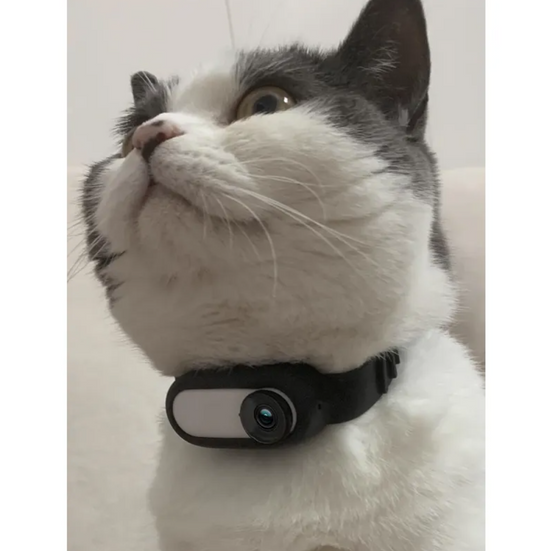 Wireless Pet Collar Camera | Mini HD Action Camera for Cats & Dogs