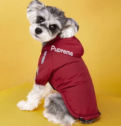 Premium Winter Dog Jacket with Velvet Lining | Warm Weather-Resistant Pet Coat for Small & Large Dogs