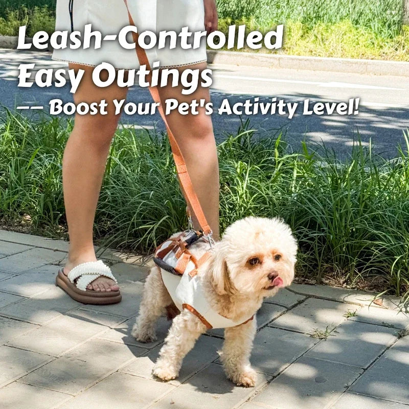 🎒 Air-Lift Carry Harness Dog Backpack | Breathe-Easy No-Pull Pet Carrier