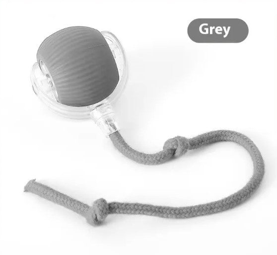 Speedy Tail Interactive Pet Toy Ball | Durable Rubber Chase Toy for Cats & Dogs