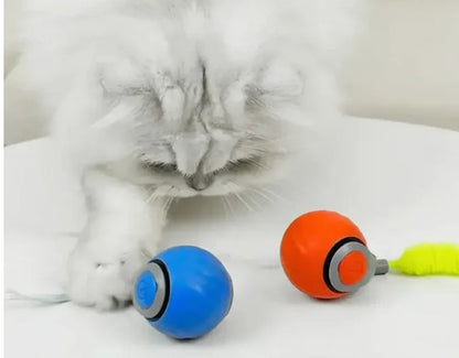 Speedy Tail Interactive Pet Toy Ball | Durable Rubber Chase Toy for Cats & Dogs