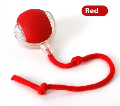 Speedy Tail Interactive Pet Toy Ball | Durable Rubber Chase Toy for Cats & Dogs